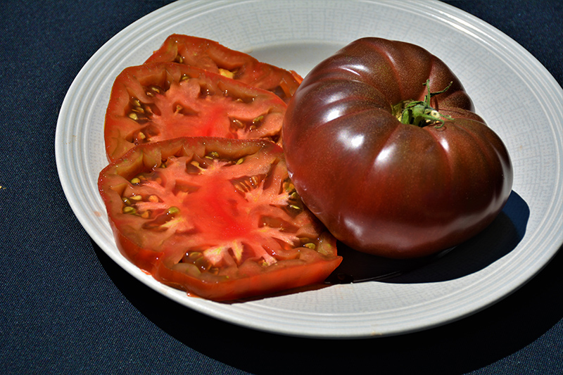 Cherokee Purple Tomato (Solanum lycopersicum 'Cherokee Purple') at TLC Garden Centers
